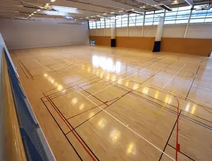 parqueteur Locquirec-5